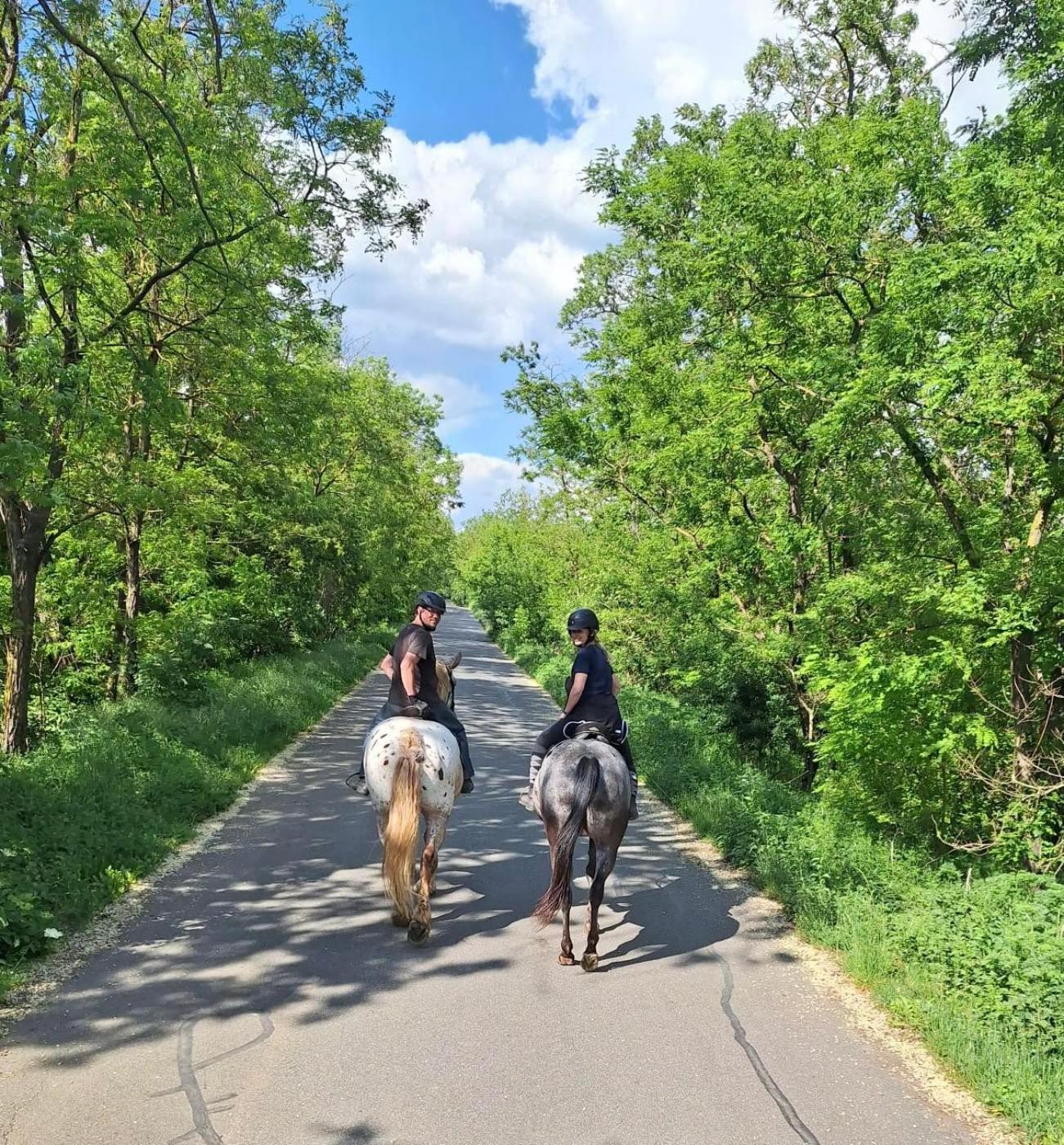 Penzion Horse Farm Lechovice Exterior photo